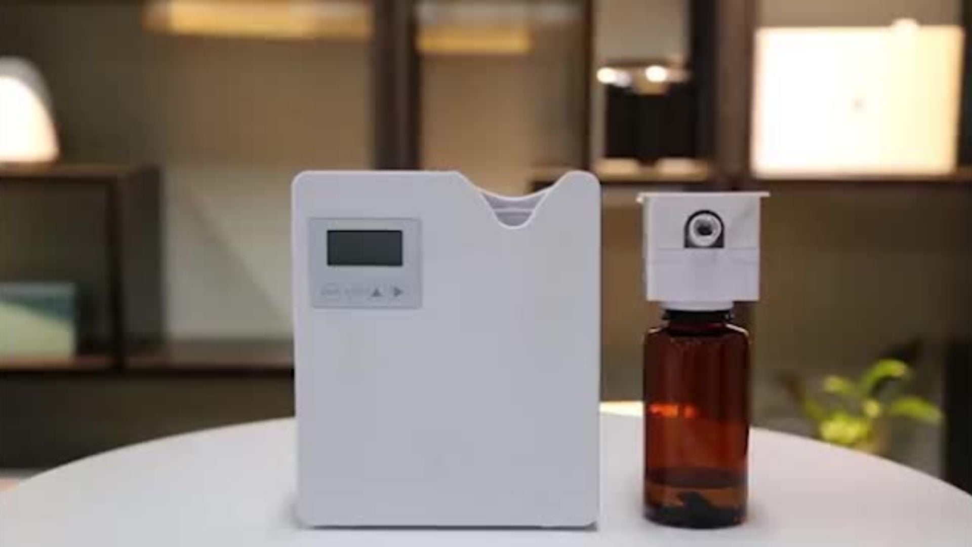 Veja como funciona a aromatização Bobson